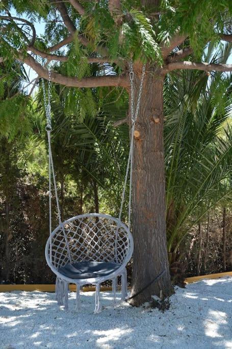 Privada Con Piscina En *